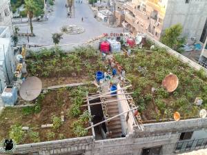 Die Hungerblockaden durchbrechen: AktivistInnen bauen Gemüse im städtischen Umfeld an, um es an Bedürftige zu verteilen. Quelle: Lens Young Yeldani.